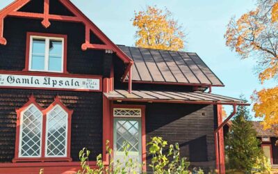 Hemsidan är lanserad!